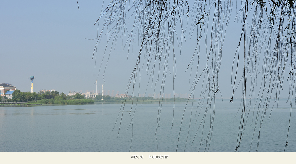 DSC_6150 拷贝 2.jpg