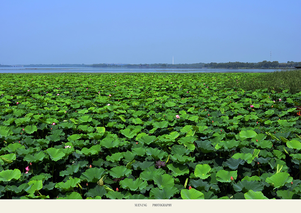 DSC_6222 拷贝 2.jpg