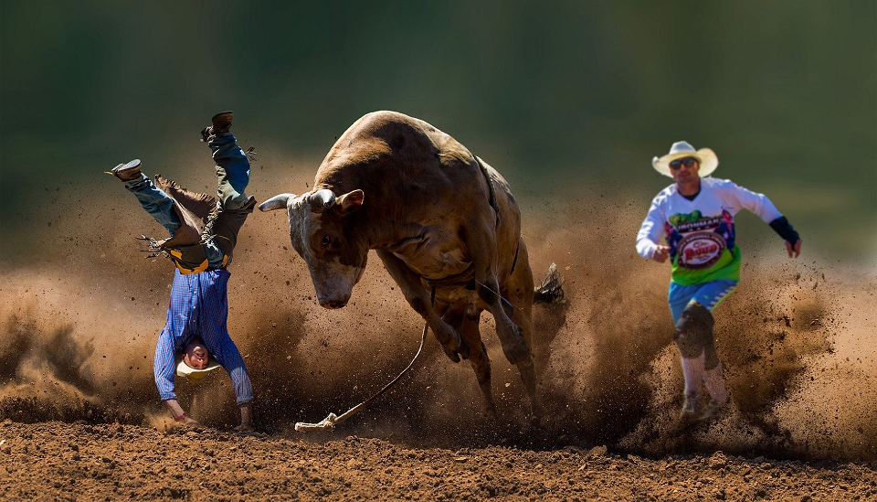 1-RAS_CHINOISE_DE_HONG_KONG_--_QIU_YANPING_--_RODEO--315.jpg