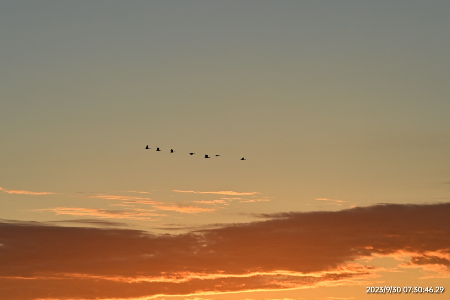 DSC_3207.JPG
