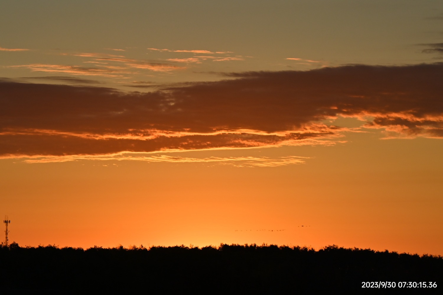 DSC_3204.JPG