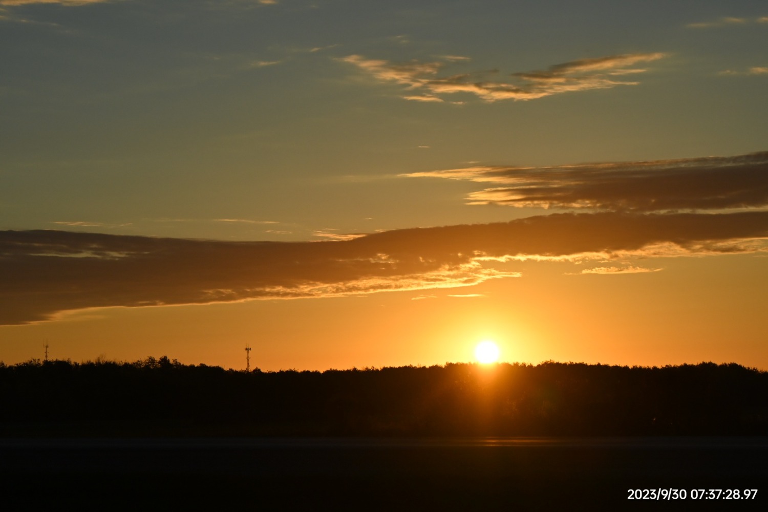 DSC_3226.JPG