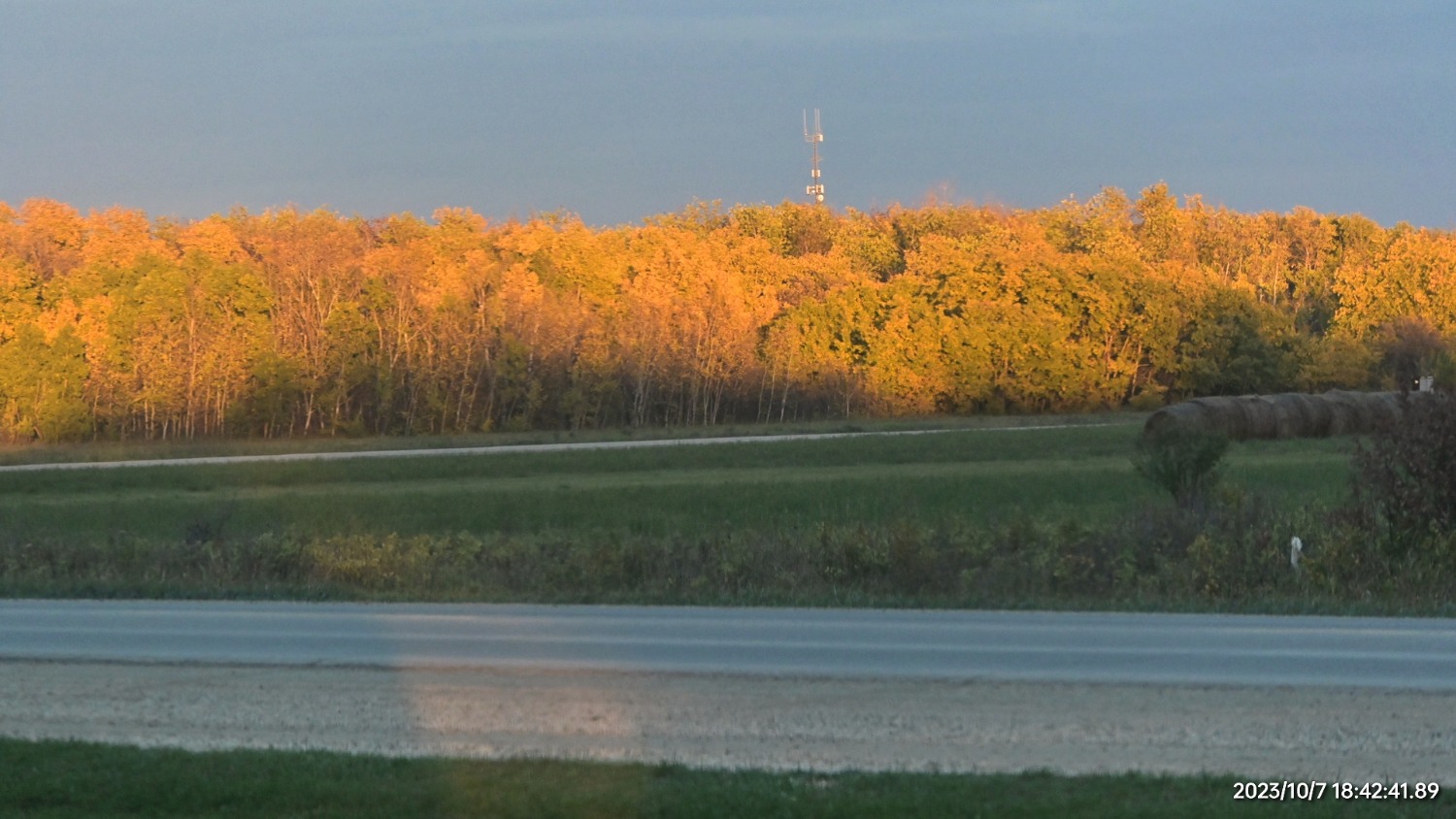 IMG_20231016_144125.jpg