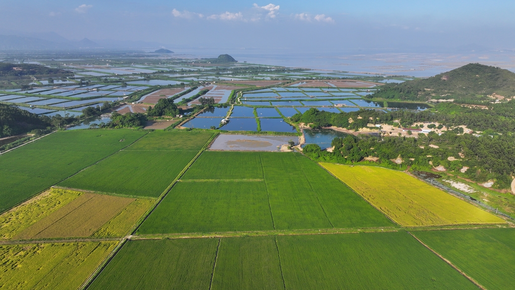 DJI_20231024144921_0013_D.JPG