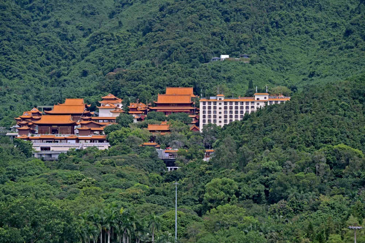 DSC_2500_o,.jpg