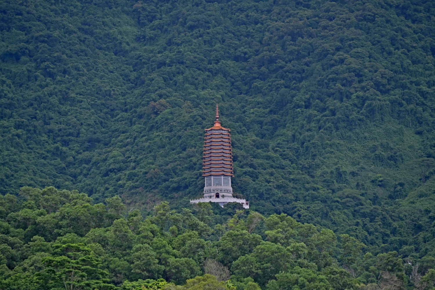DSC_2494_o,.jpg