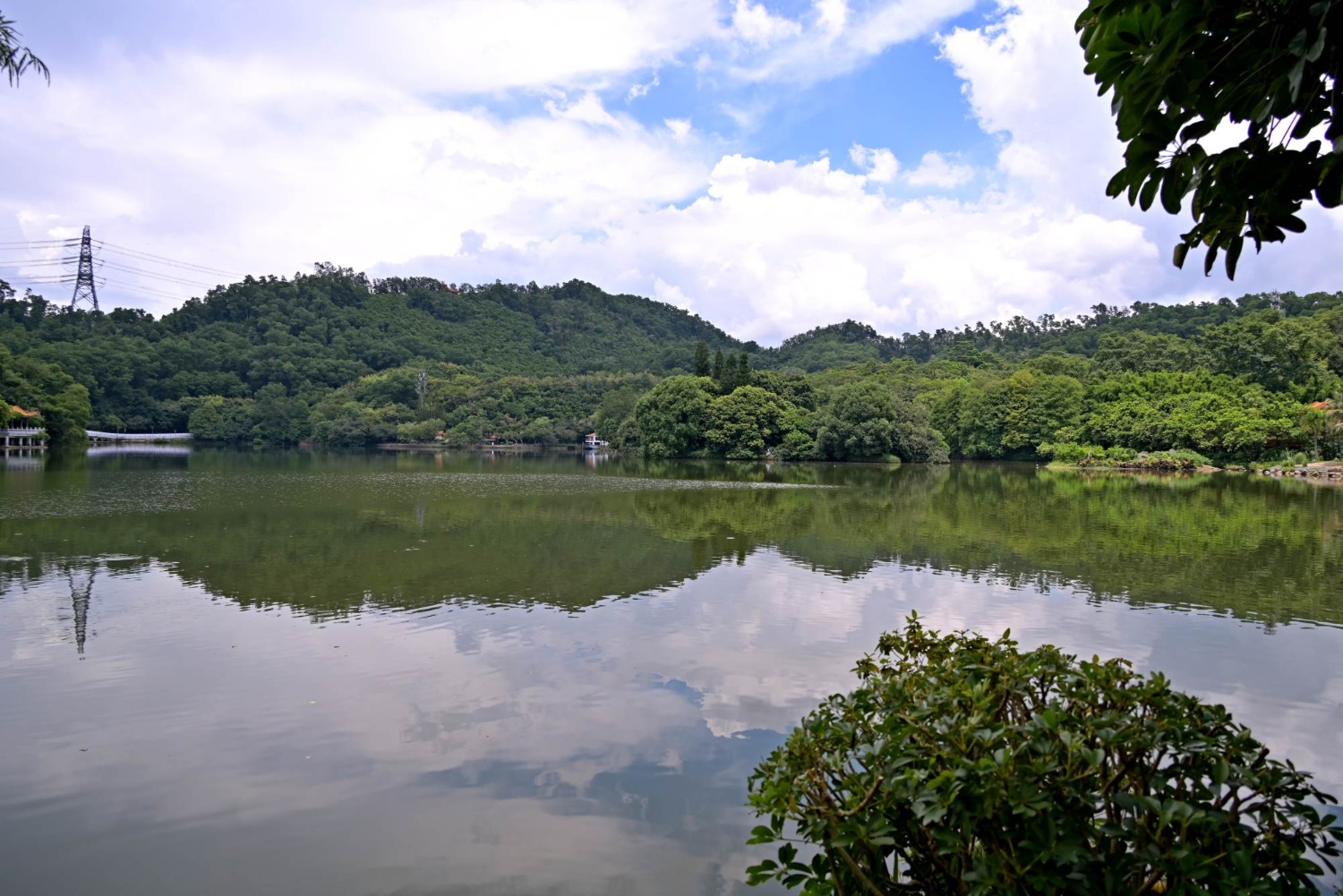 DSC_2417_o,.jpg