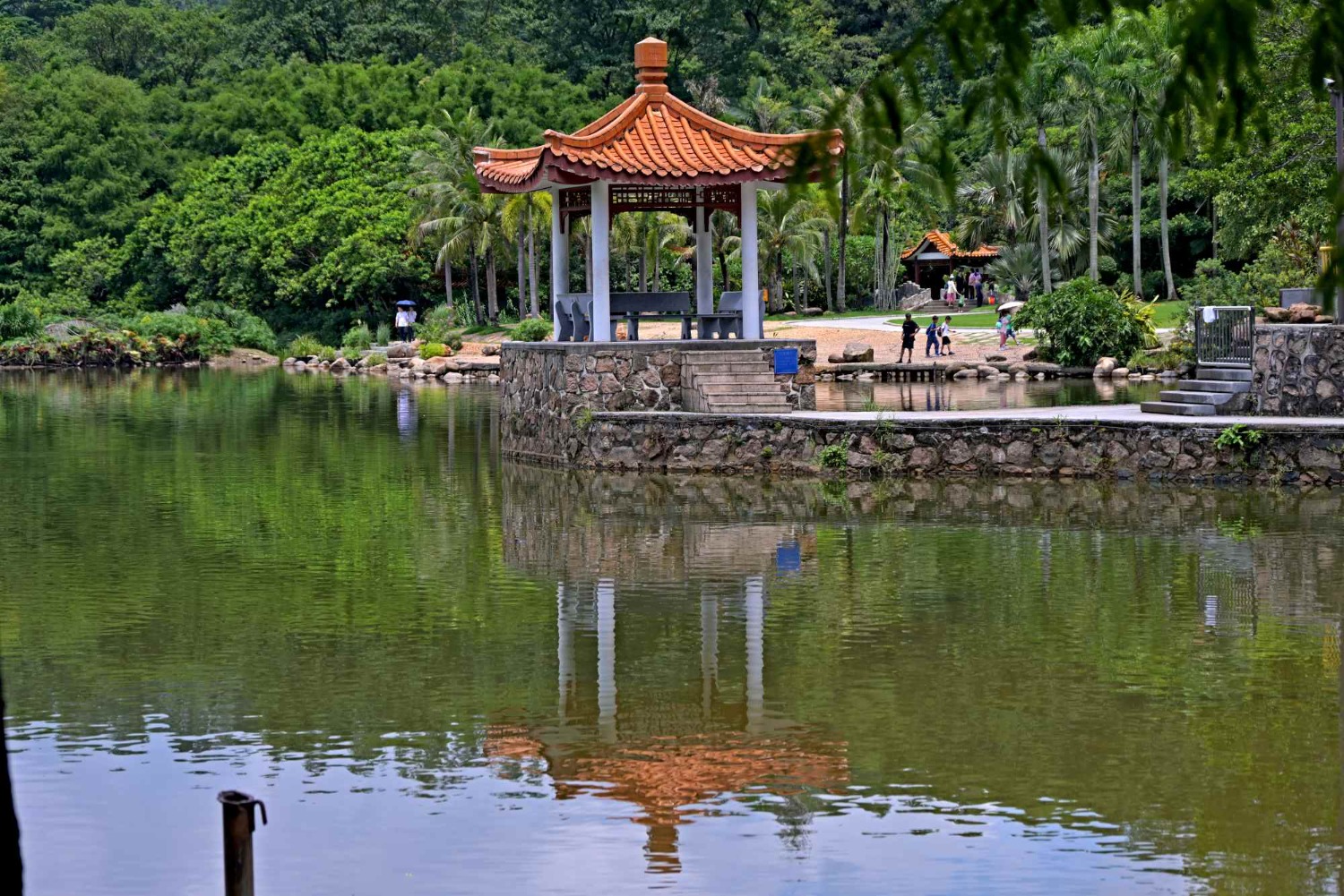 DSC_2422_o,.jpg