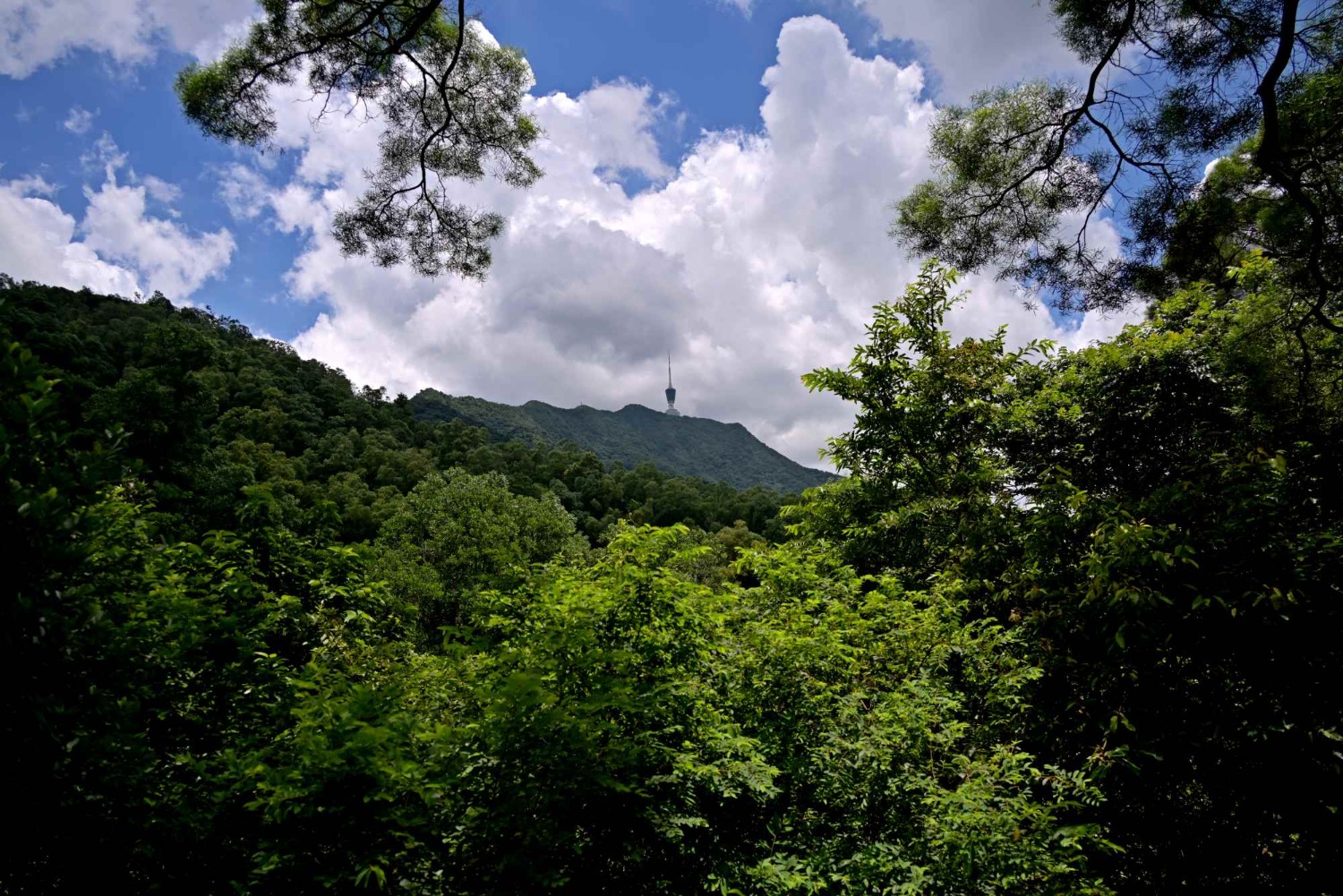 DSC_2400_o,.jpg