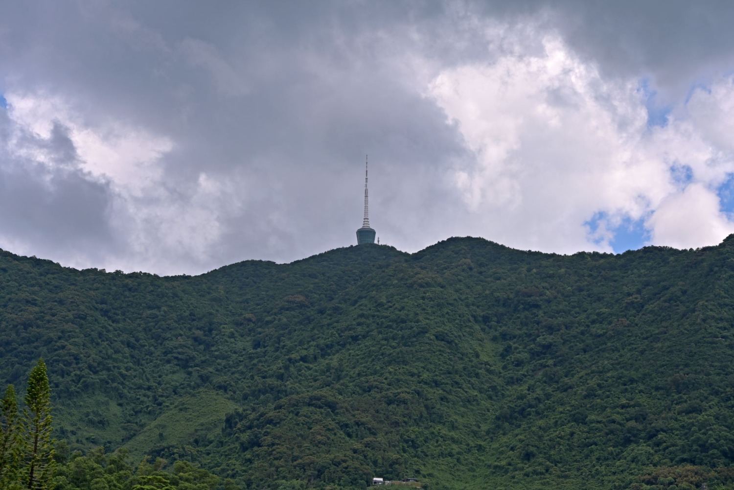 DSC_2493_o,.jpg