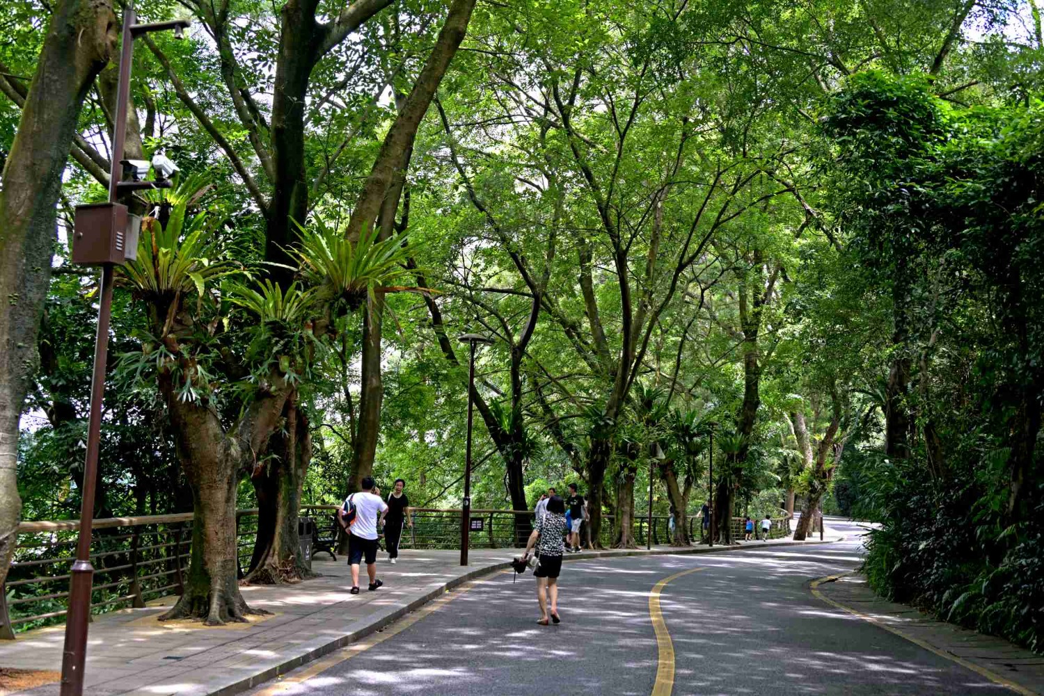 DSC_2402_o,.jpg