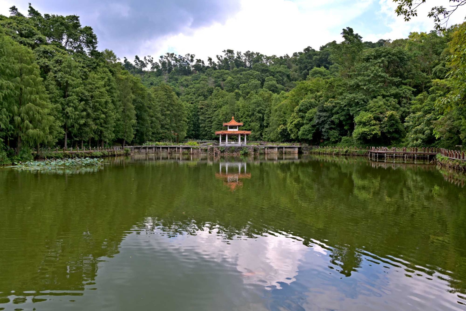 DSC_2461_o,.jpg