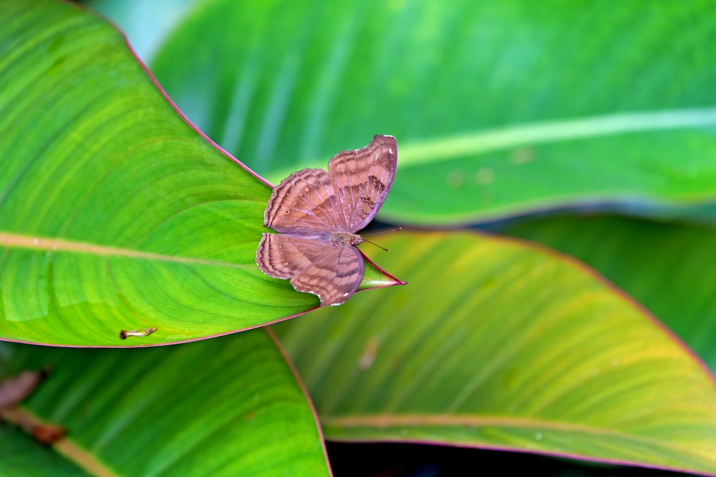 DSC_2490_副本.jpg