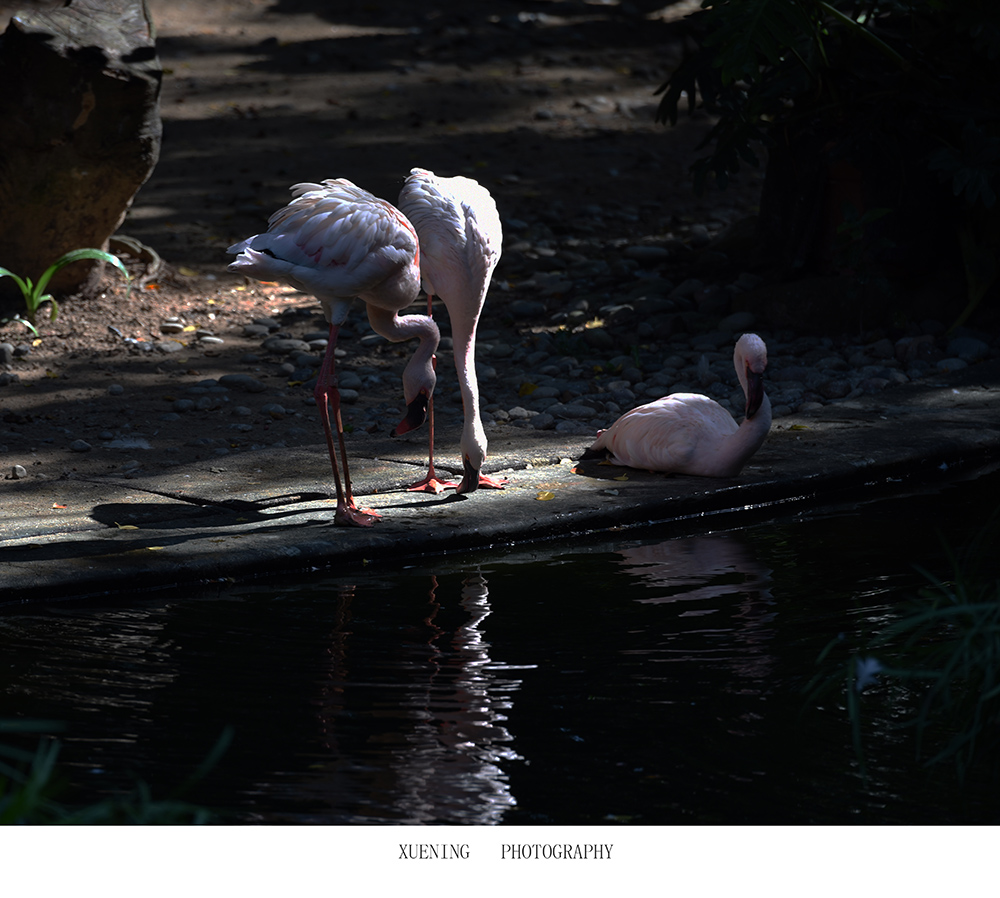 DSC_3170.JPG