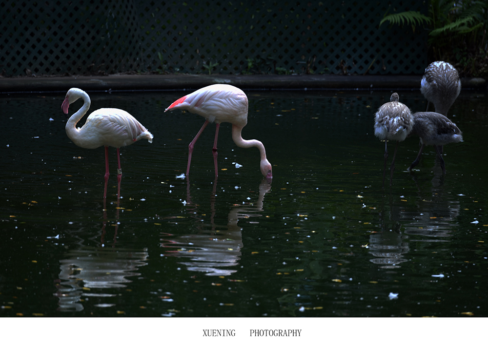 DSC_3181.JPG