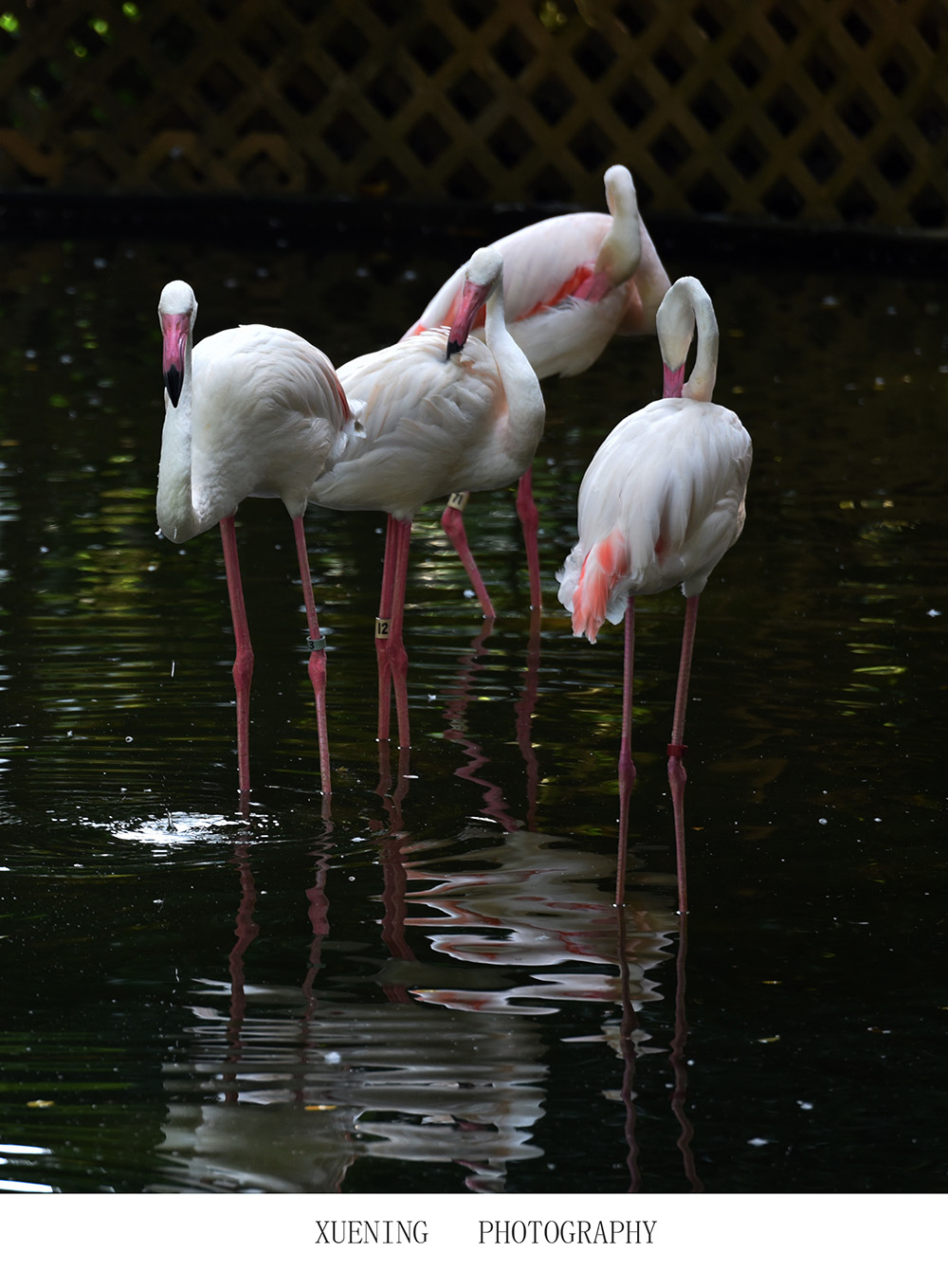 DSC_3210.JPG