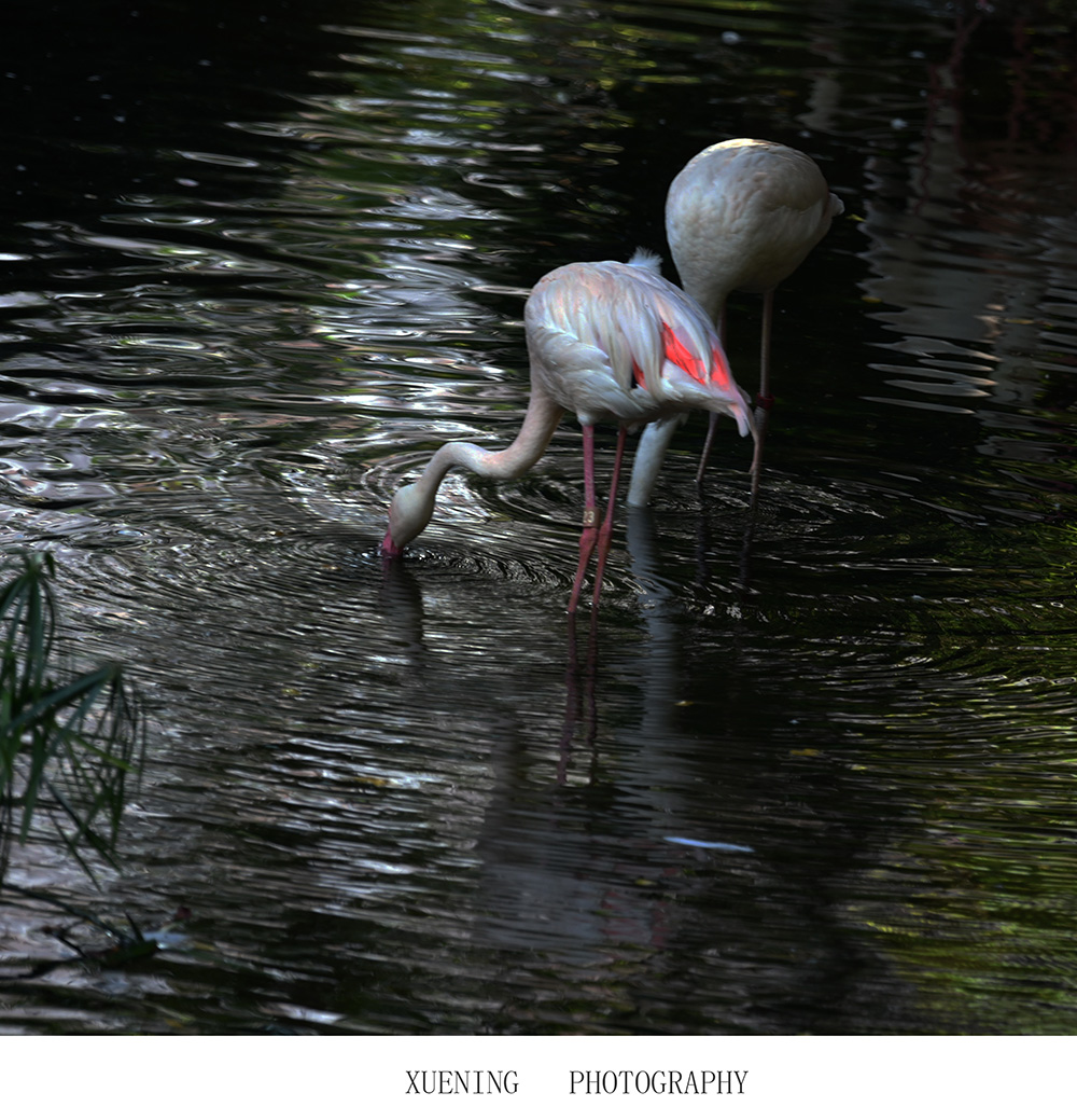 DSC_3161.JPG
