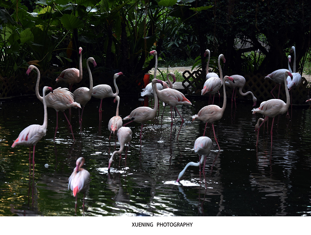 DSC_3410.JPG