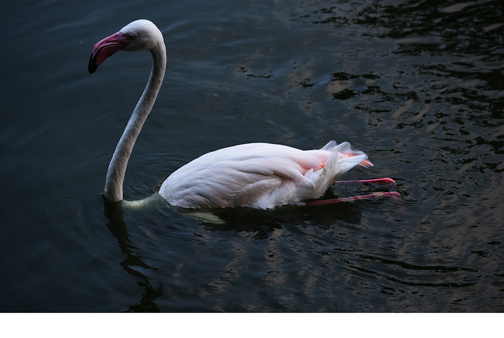 DSC_3454.JPG