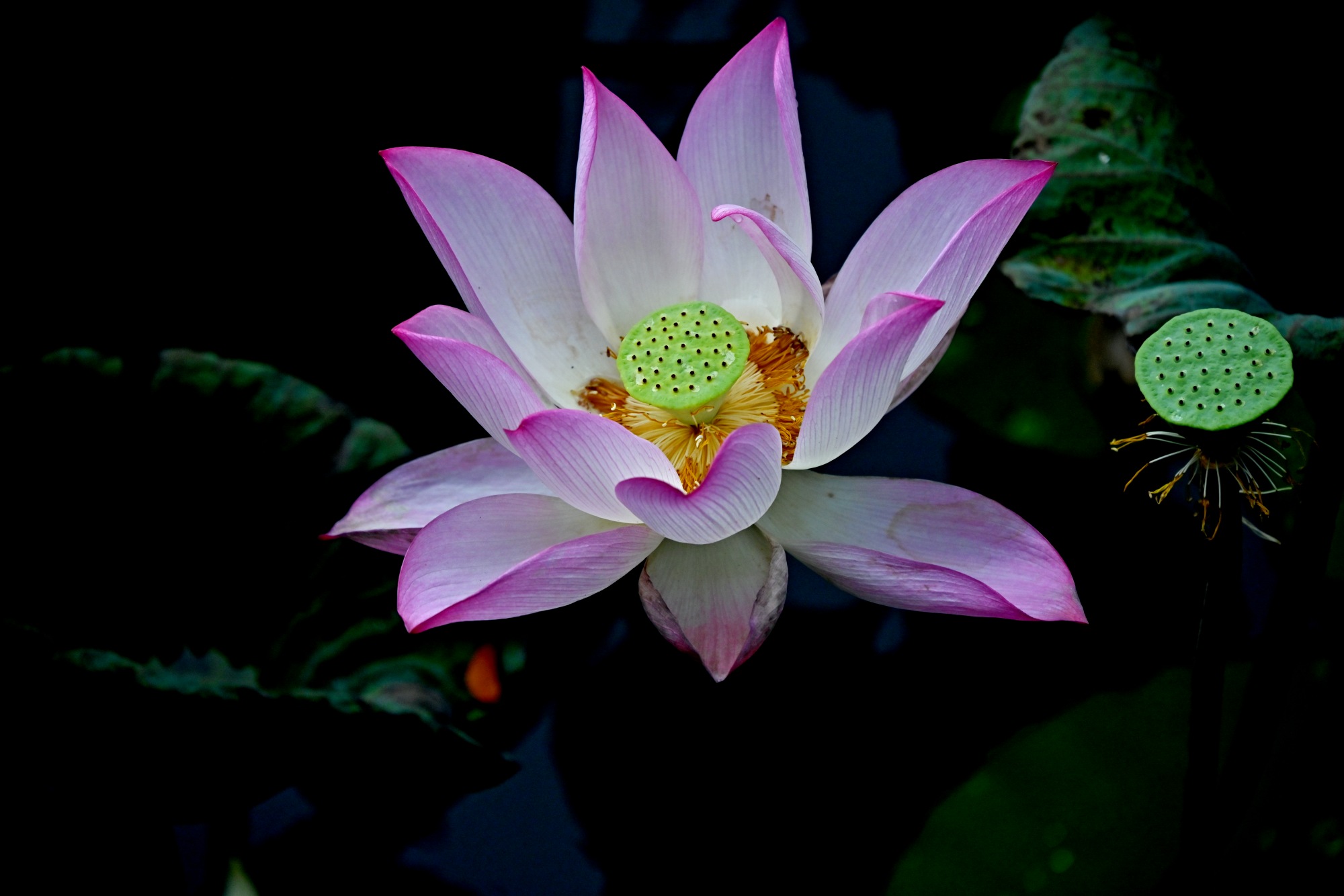 ABC_2354_副本.jpg