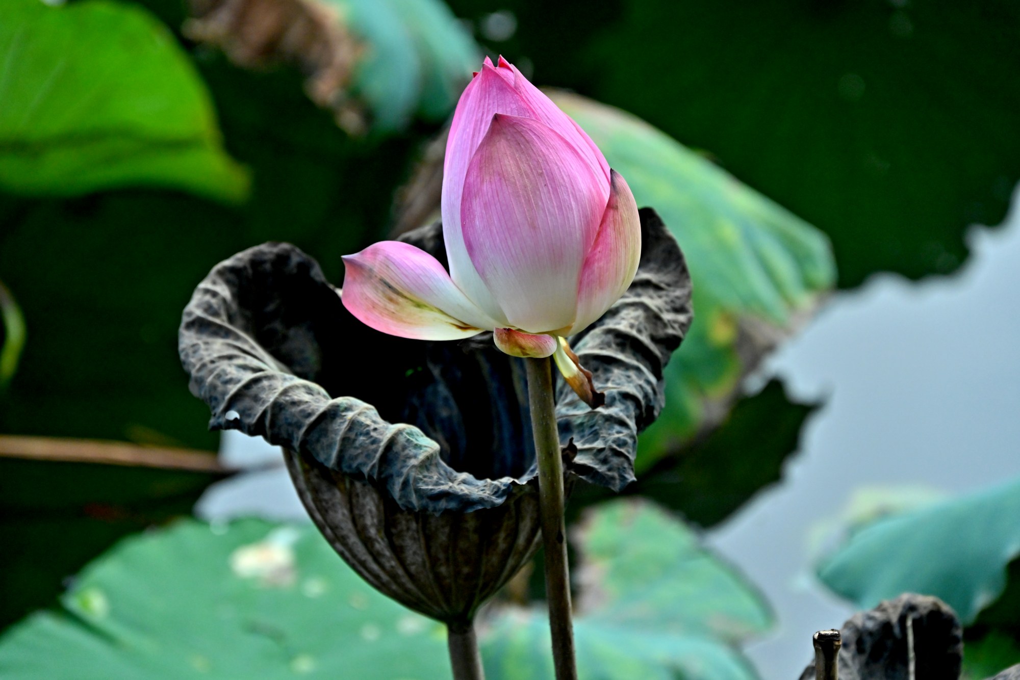ABC_2356_副本.jpg