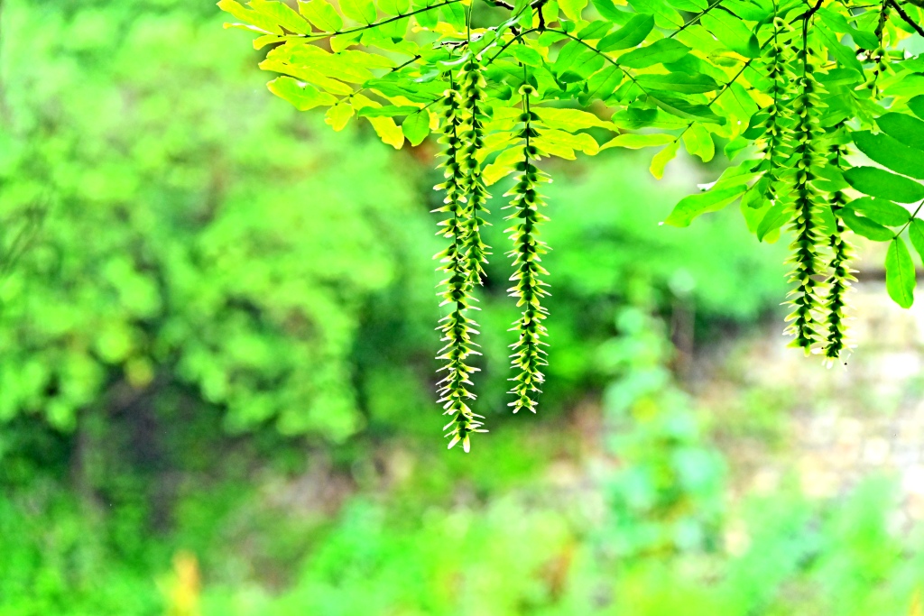 DSC_1342_副本.jpg