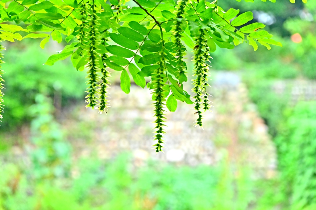 DSC_1344_副本.jpg