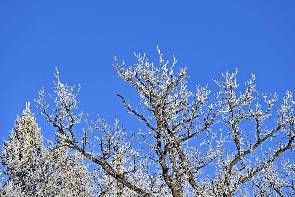 _DSC0333_副本.jpg
