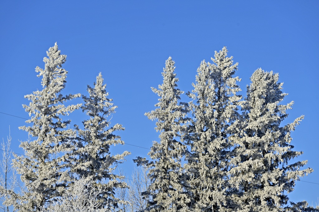 _DSC0336_副本.jpg