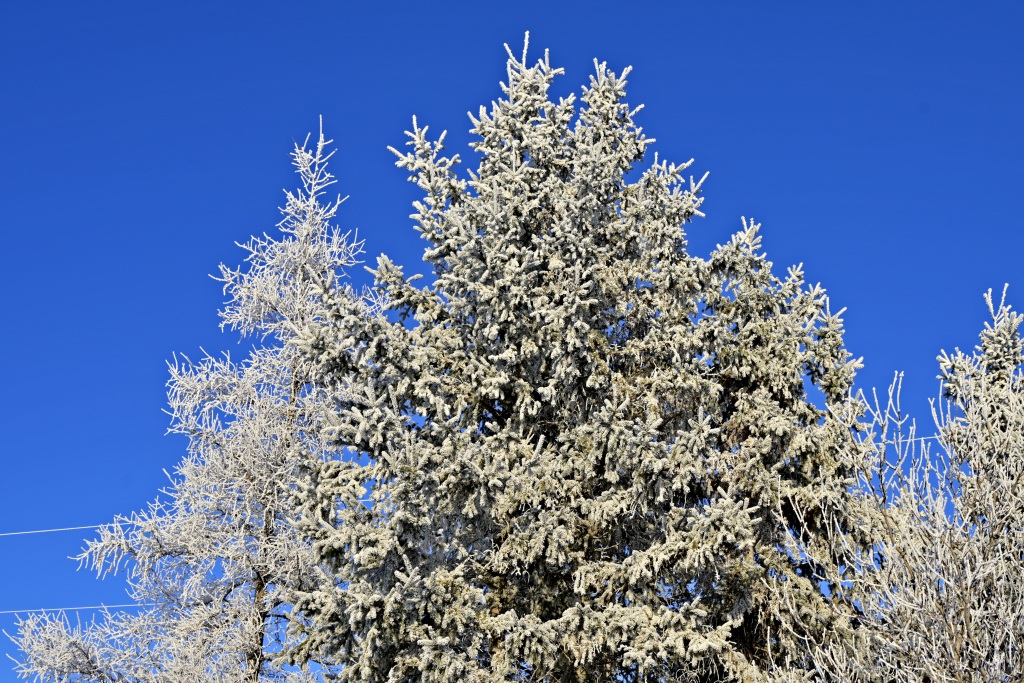 _DSC0338_副本.jpg