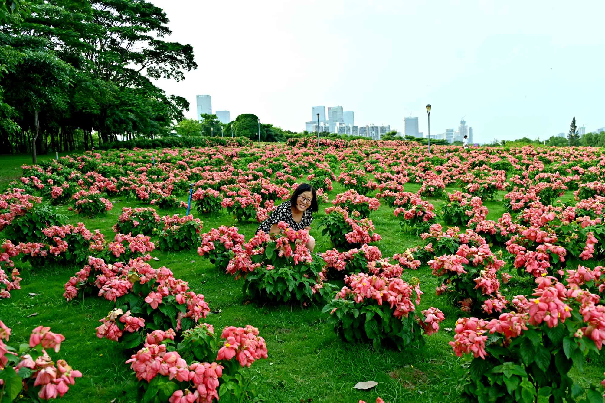 ABC_2195_副本.jpg