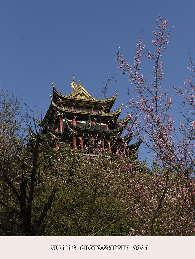 _DSC8214.JPG