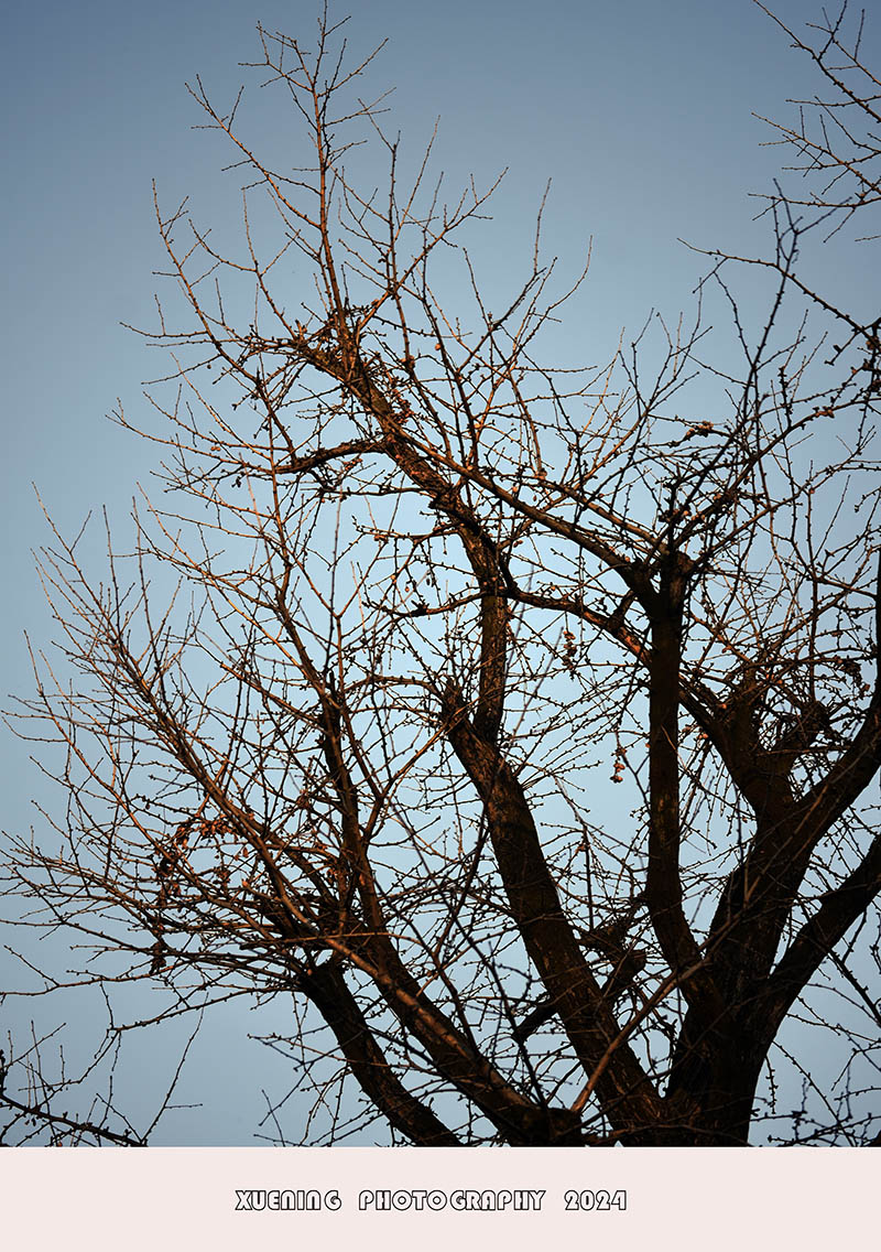 _DSC8272.JPG