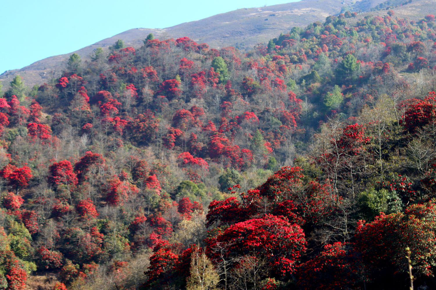 IMG_9001_副本.jpg