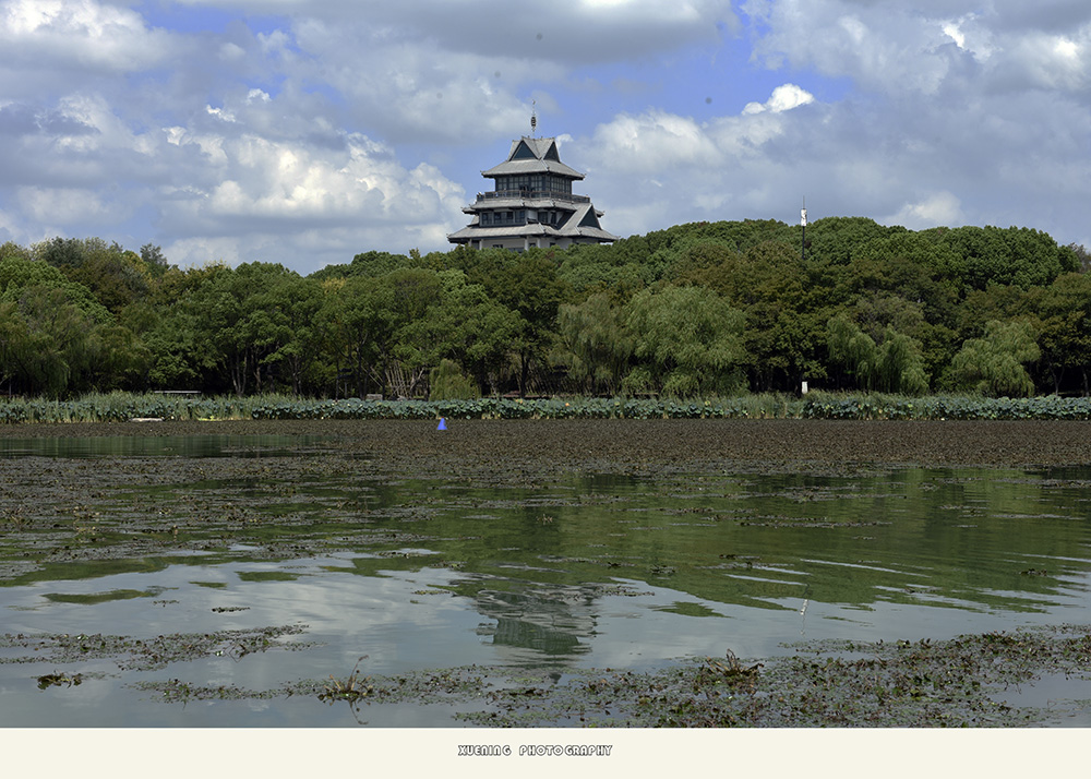 _DSC8294 拷贝 2.jpg