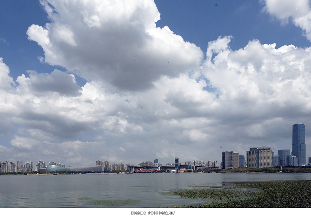 _DSC8316 拷贝 3.jpg