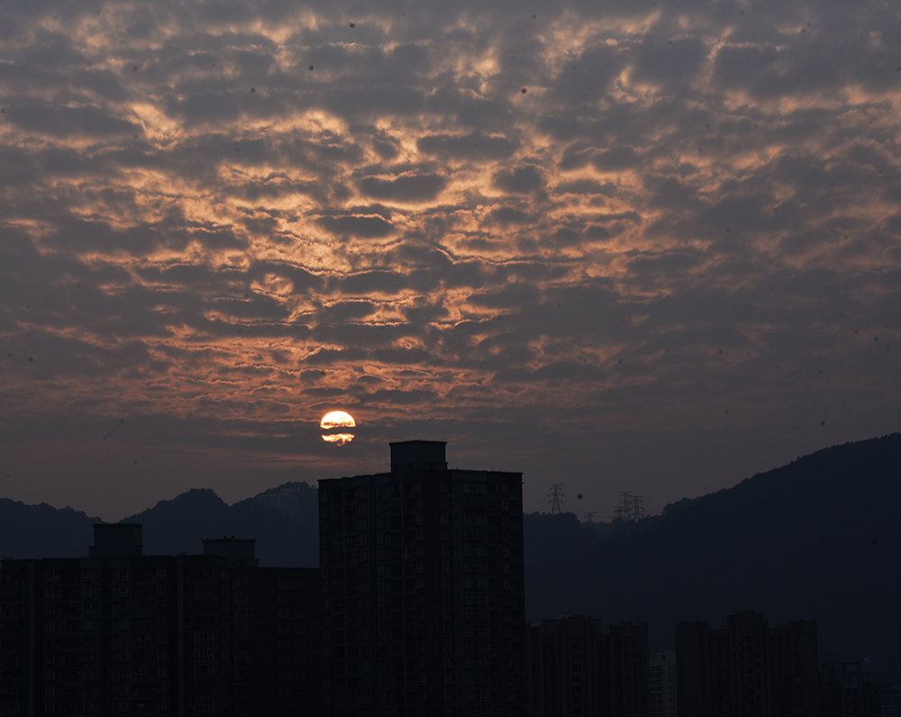 _DSC9998 拷贝.jpg