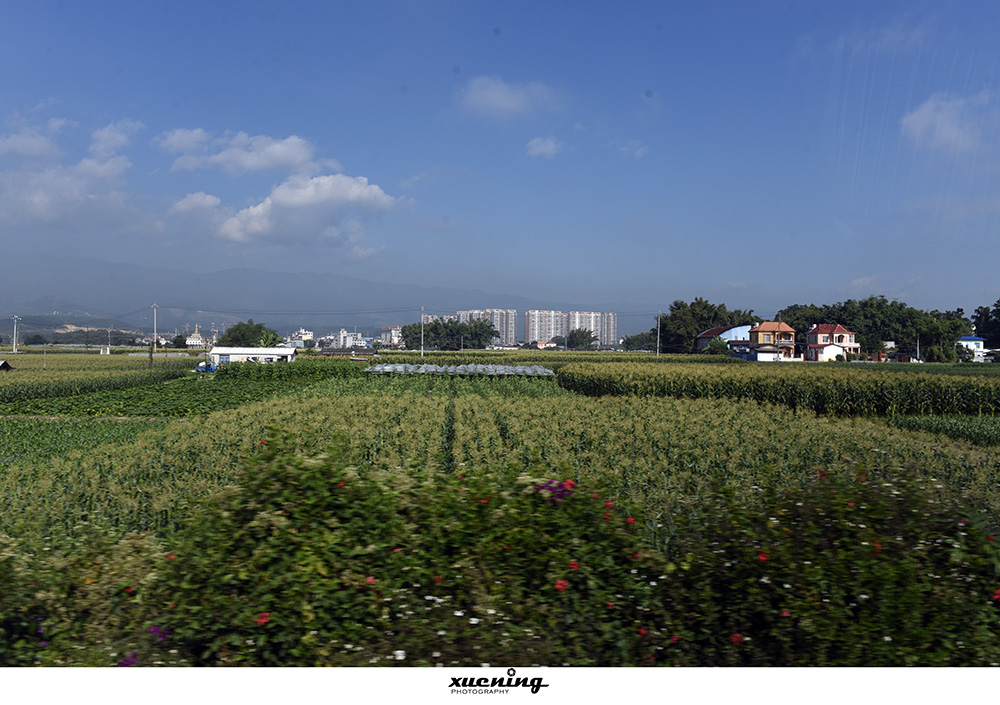 _DSC1044 拷贝 2.jpg