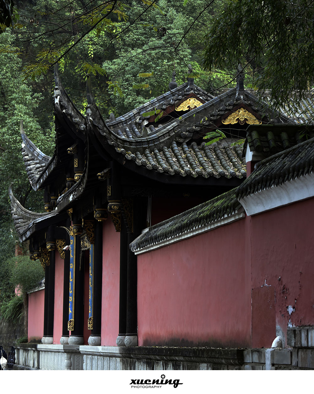 _DSC4857 拷贝 2.jpg