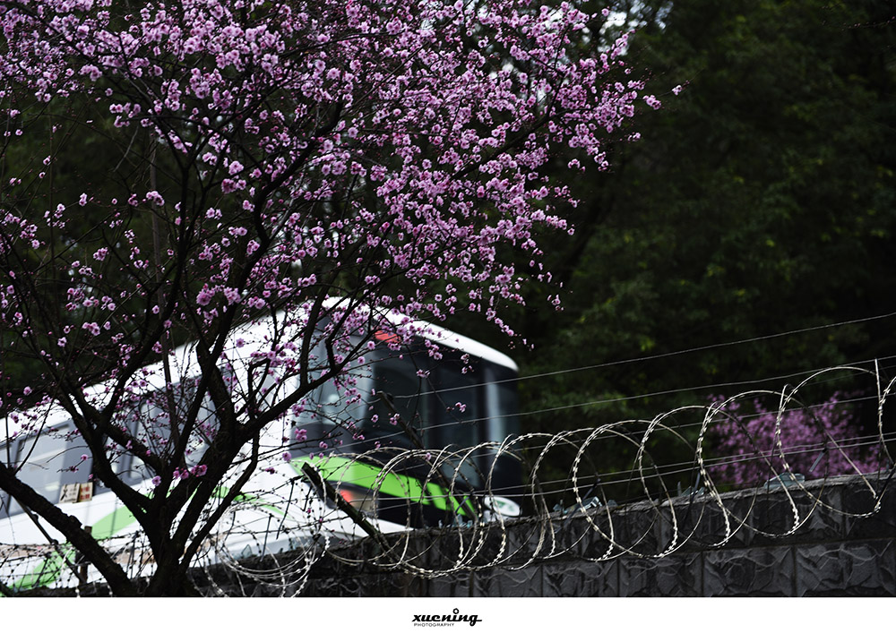 _DSC5292 拷贝.jpg