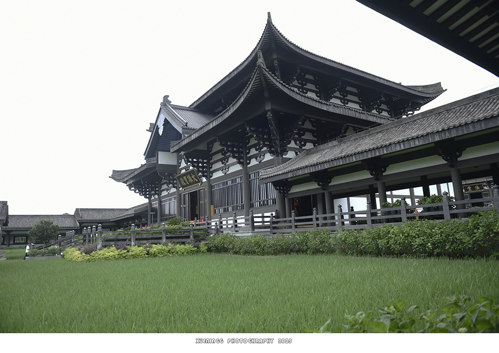 _DSC3245 拷贝.jpg