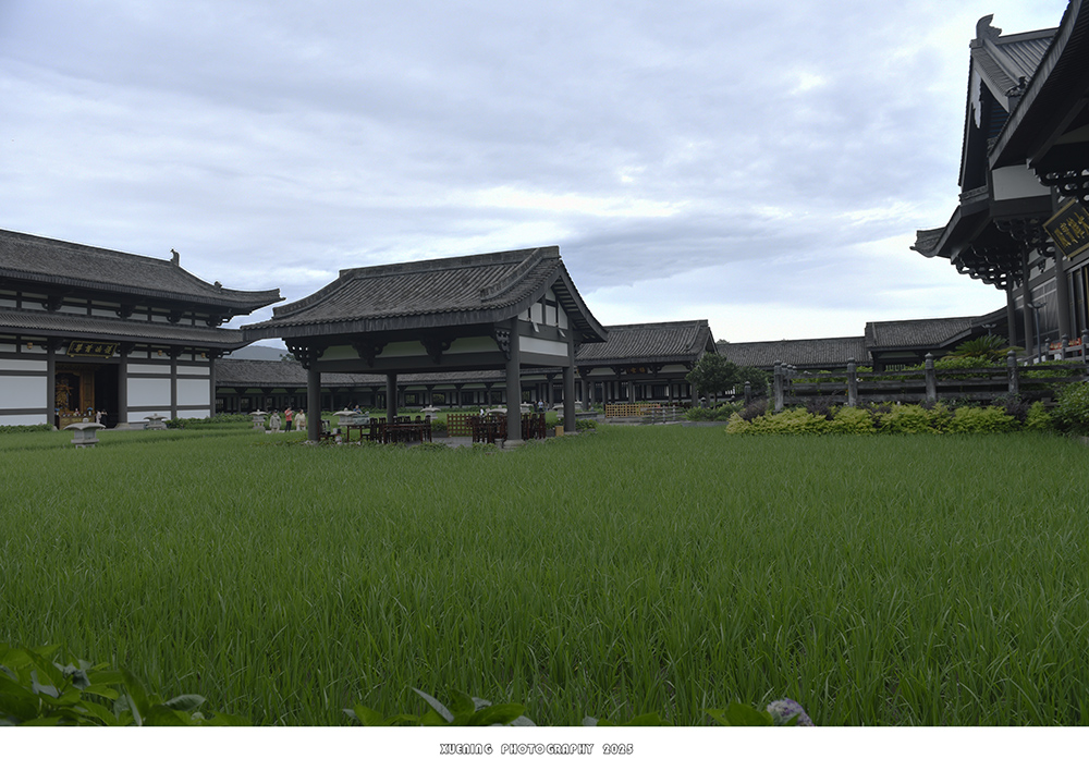 _DSC3248 拷贝.jpg