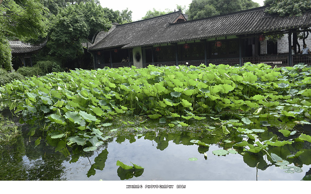 _DSC3152 拷贝.jpg