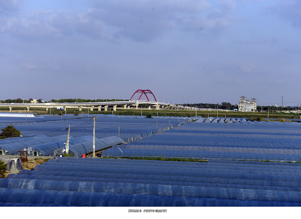 _DSC9436 拷贝.jpg