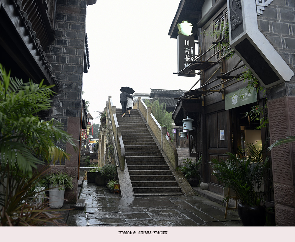 _DSC8751 拷贝.jpg