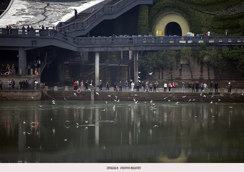 _DSC8856 拷贝.jpg