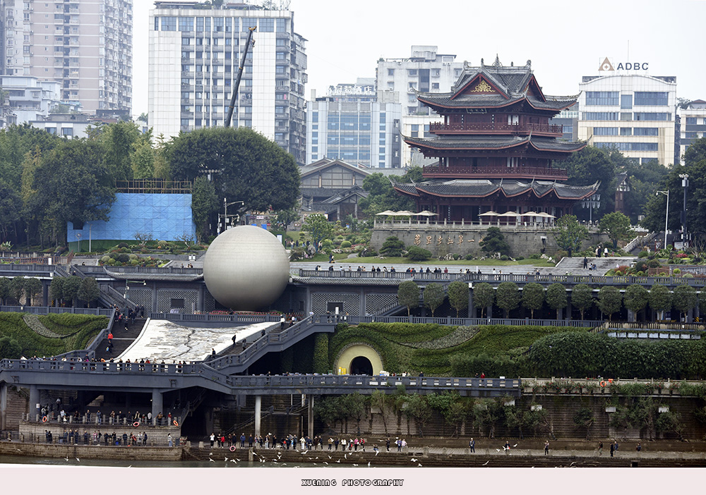 _DSC8848 拷贝.jpg