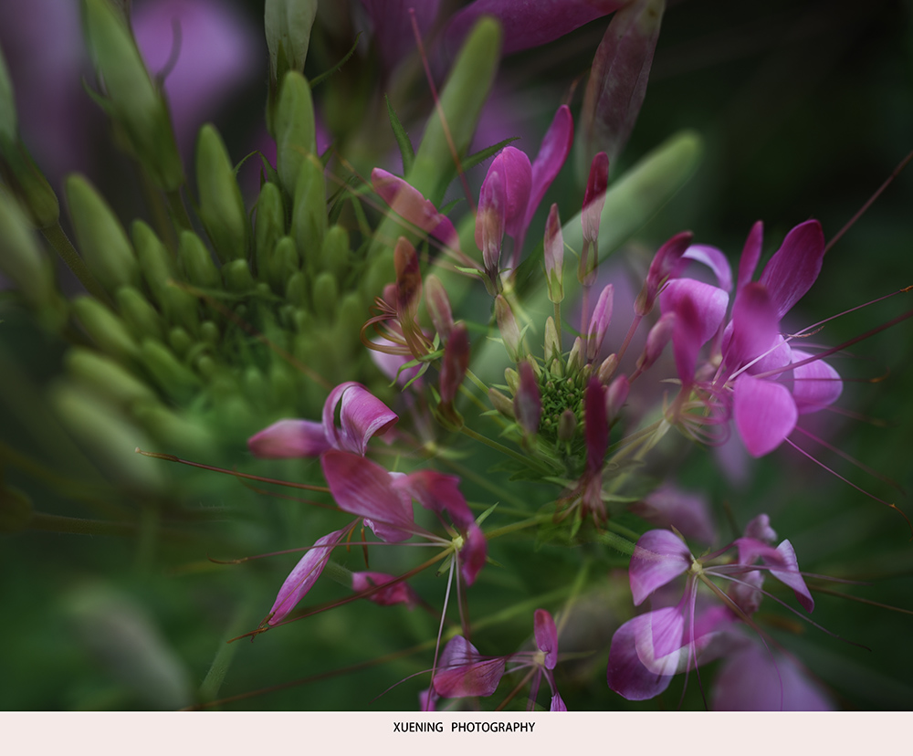 _DSC4067 拷贝.jpg