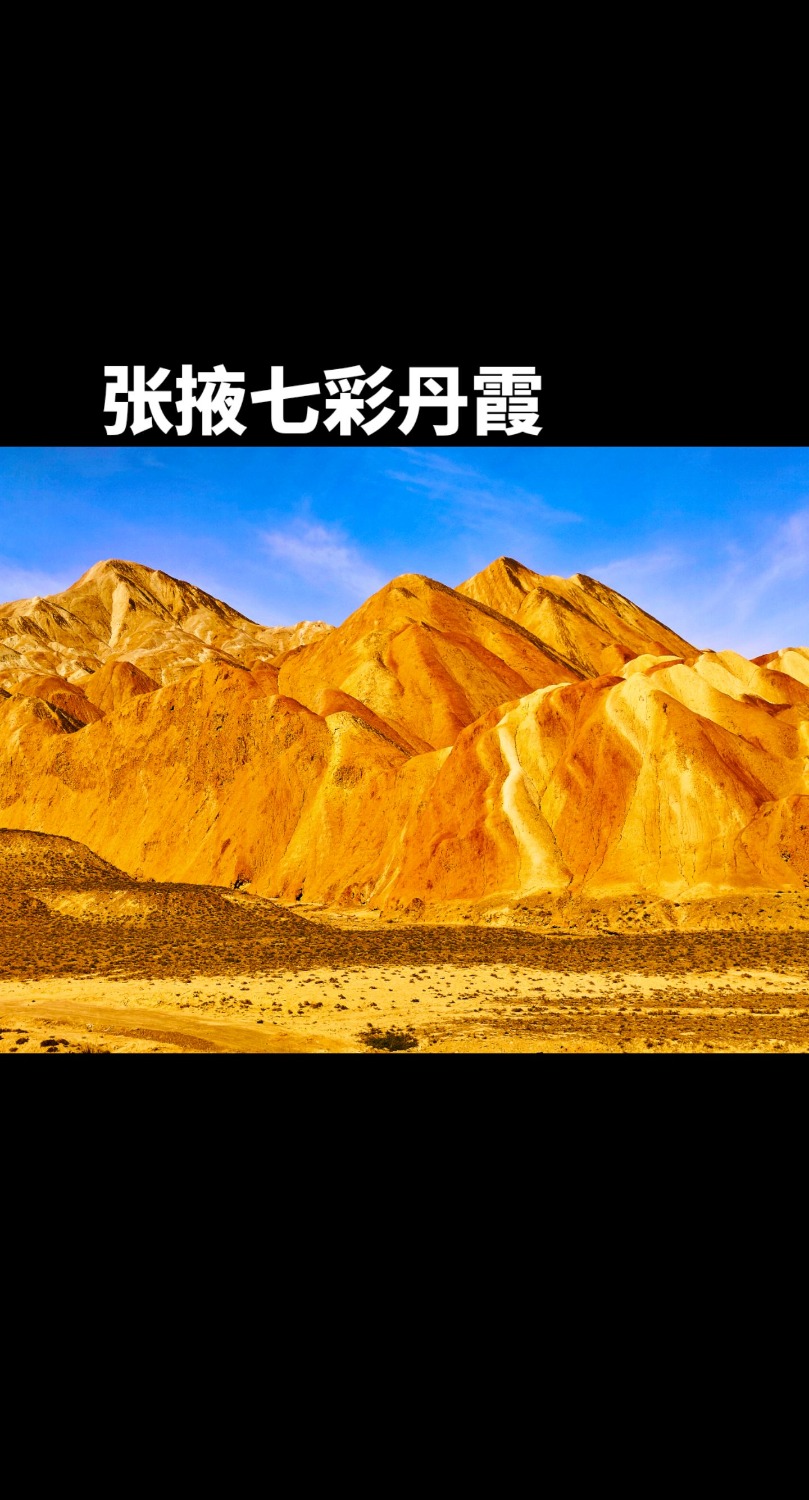 synthesis_4d502c3b-c2a6-4a3e-8023-827d2ebc030e_image_save_local1763449625607.jpg