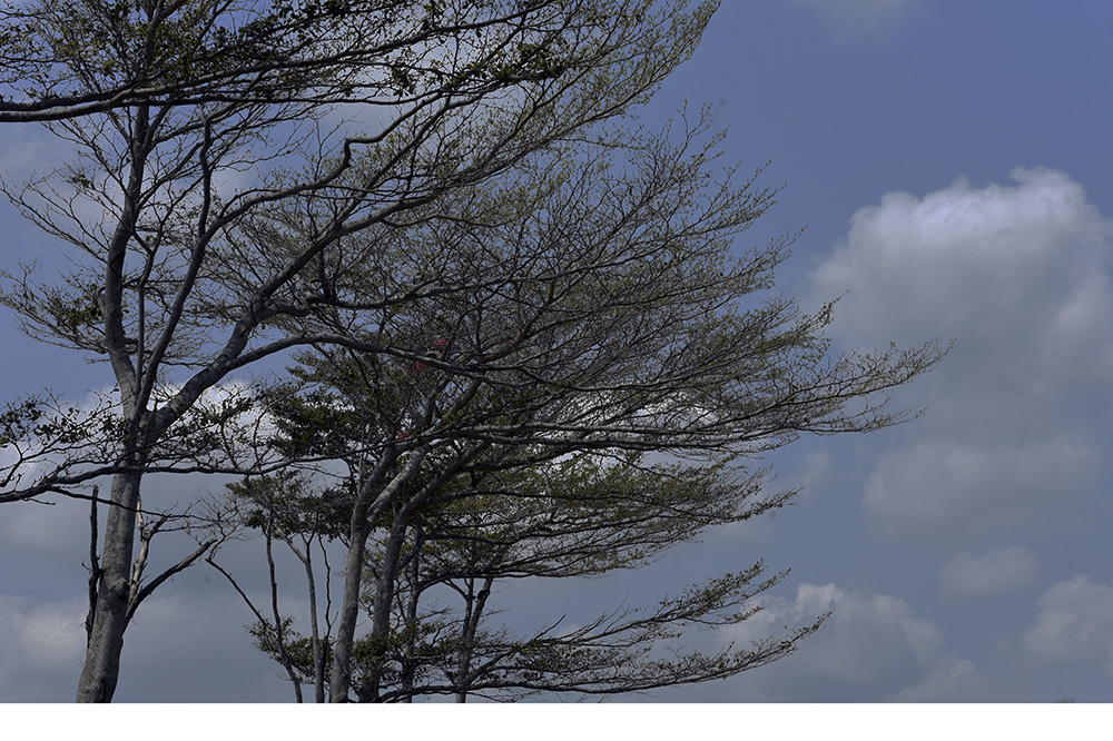 _DSC6575 拷贝.jpg